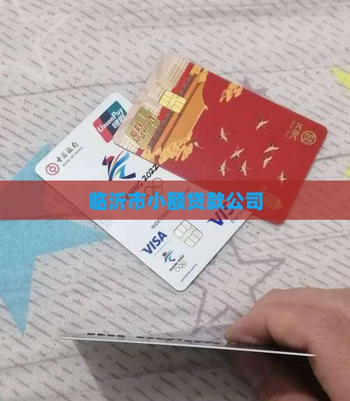 临沂市小额贷款公司