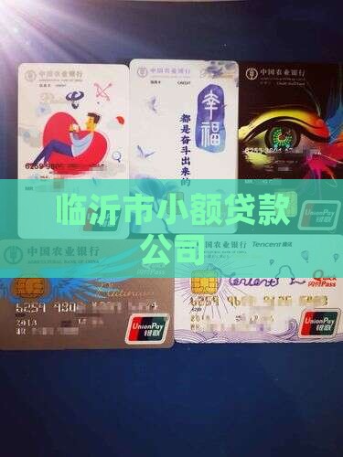 临沂市小额贷款公司