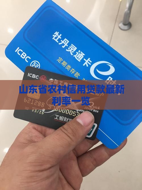 山东省农村信用贷款最新利率一览