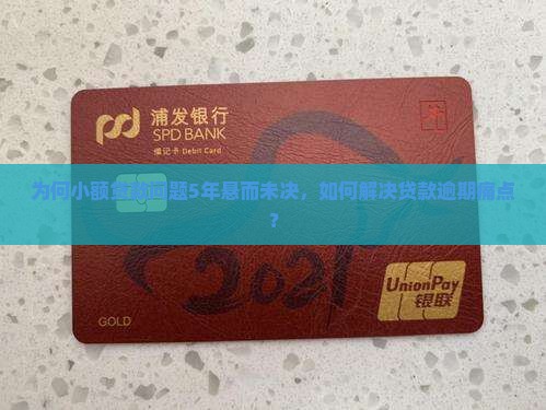 为何小额贷款问题5年悬而未决，如何解决贷款逾期痛点？