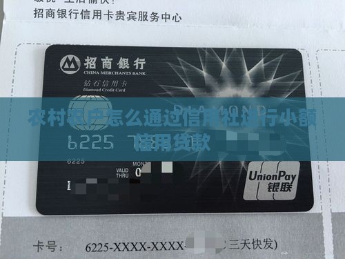 农村农户怎么通过信用社进行小额信用贷款