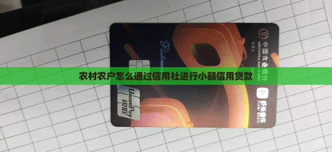 农村农户怎么通过信用社进行小额信用贷款