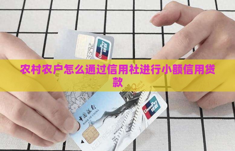 农村农户怎么通过信用社进行小额信用贷款