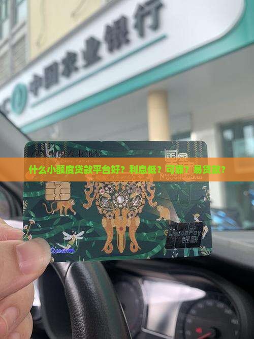 什么小额度贷款平台好？利息低？可靠？易贷款？