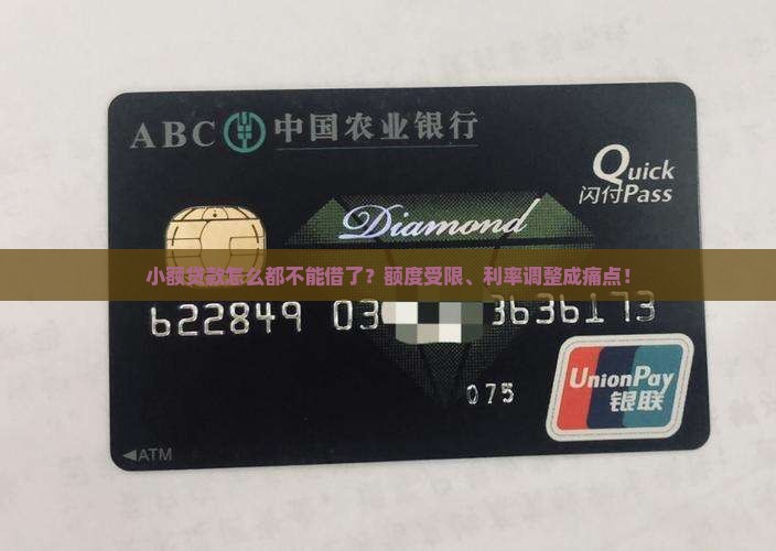 小额贷款怎么都不能借了？额度受限、利率调整成痛点！