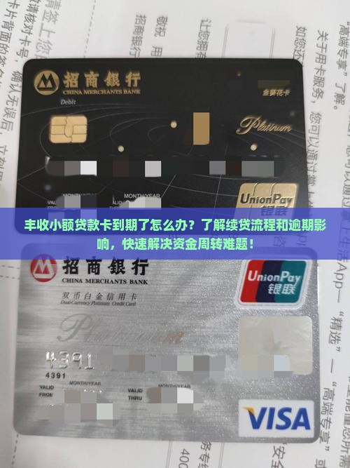 丰收小额贷款卡到期了怎么办？了解续贷流程和逾期影响，快速解决资金周转难题！