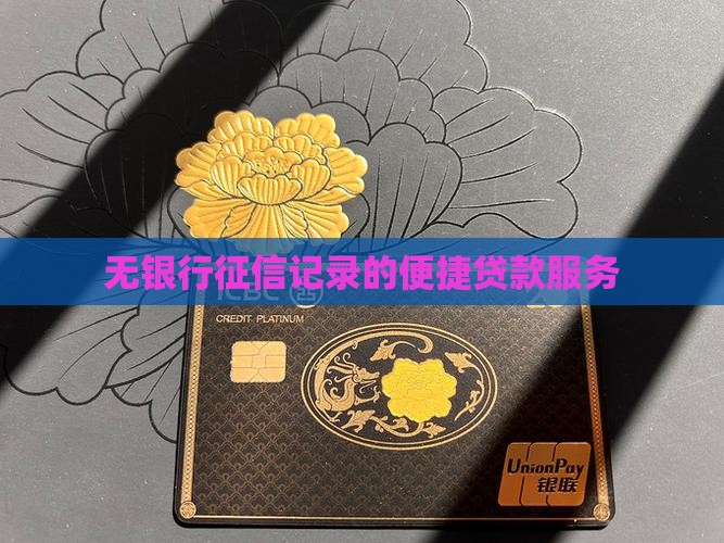 无银行征信记录的便捷贷款服务