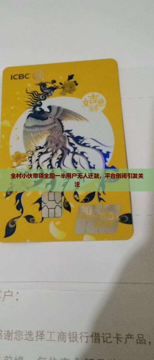 全村小伙带领全国一半用户无人还款，平台倒闭引发关注