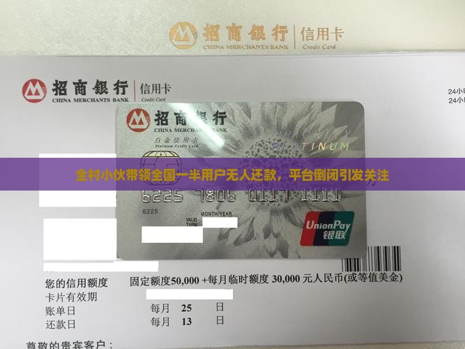 全村小伙带领全国一半用户无人还款，平台倒闭引发关注