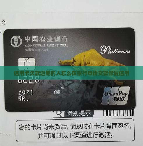 信用卡欠款逾期的人怎么在银行申请贷款修复信用