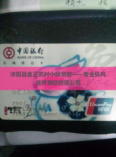 沭阳县金正农村小额贷款——专业机构抵押贷款担保公司