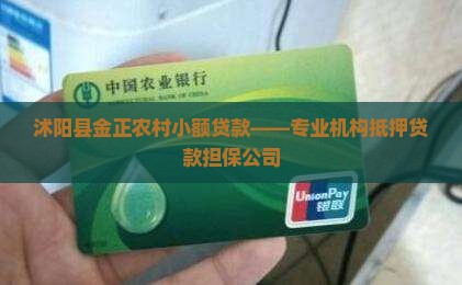 沭阳县金正农村小额贷款——专业机构抵押贷款担保公司