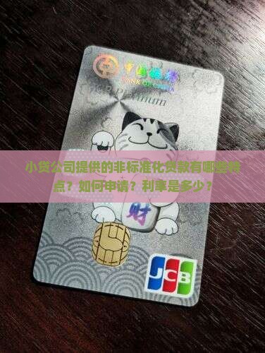 小贷公司提供的非标准化贷款有哪些特点？如何申请？利率是多少？