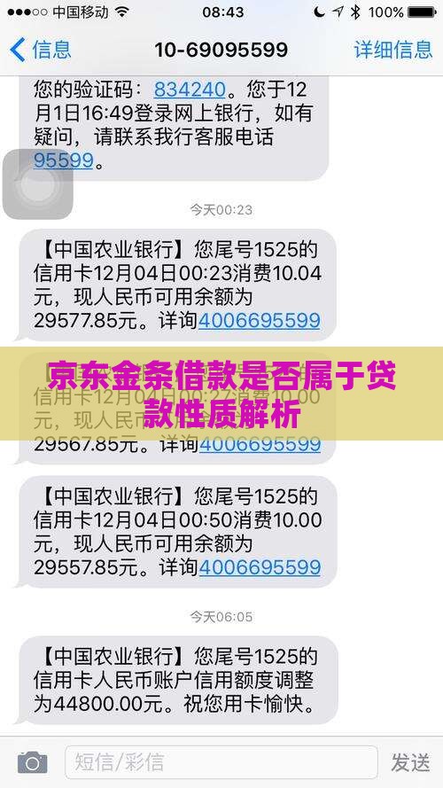 京东金条借款是否属于贷款性质解析