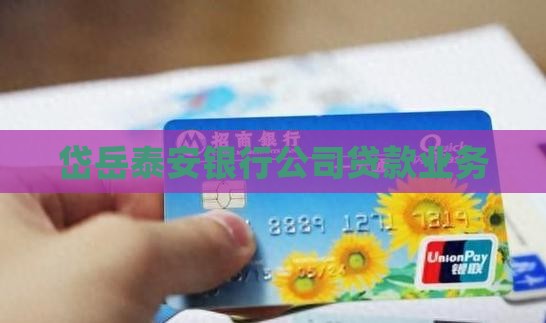 岱岳泰安银行公司贷款业务