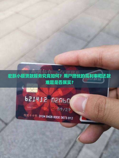 宏跃小额贷款服务究竟如何？用户担忧的高利率和还款难题是否属实？