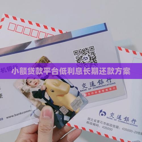小额贷款平台低利息长期还款方案