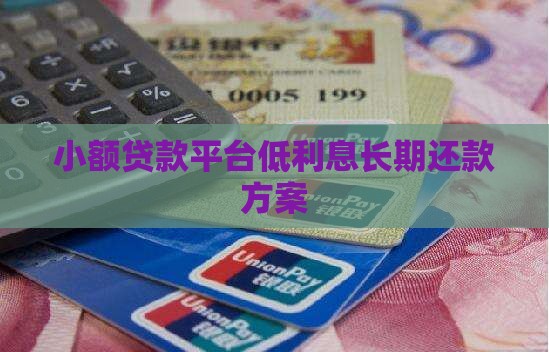 小额贷款平台低利息长期还款方案