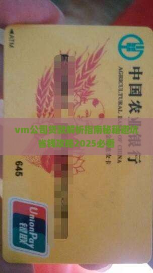 vm公司贷款