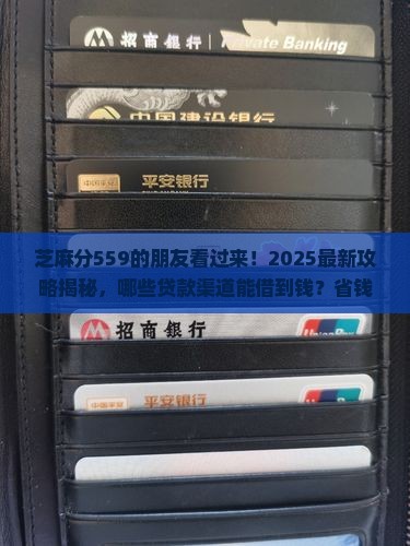 芝麻分559能去哪贷款