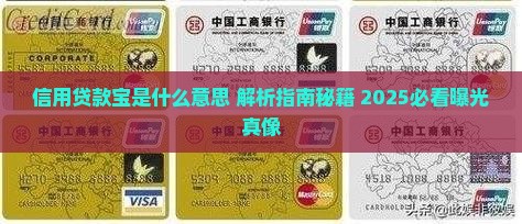 信用贷款宝是什么意思