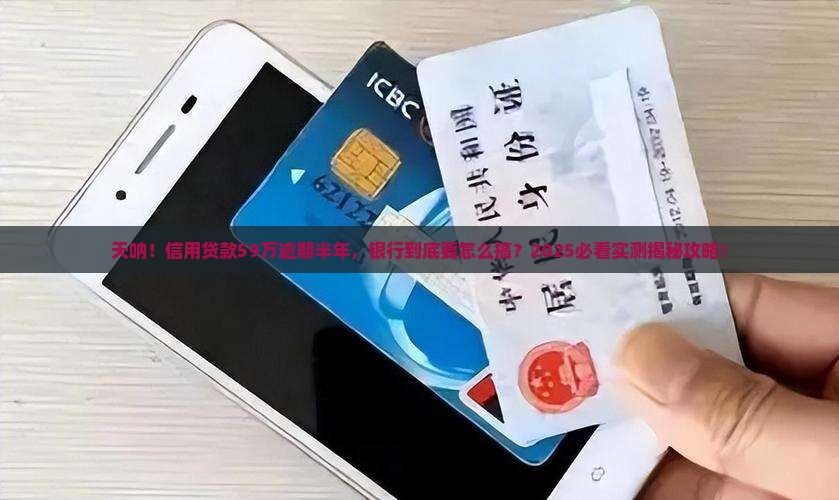 信用贷款59万逾期半年