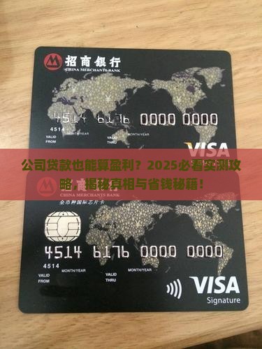 公司贷款也算盈利吗