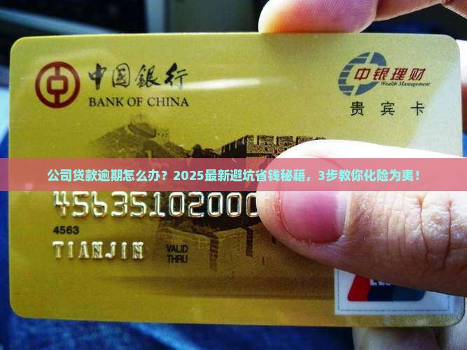 公司贷款逾期怎么办
