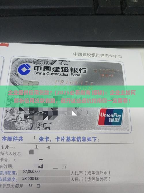 企业提供信用贷款
