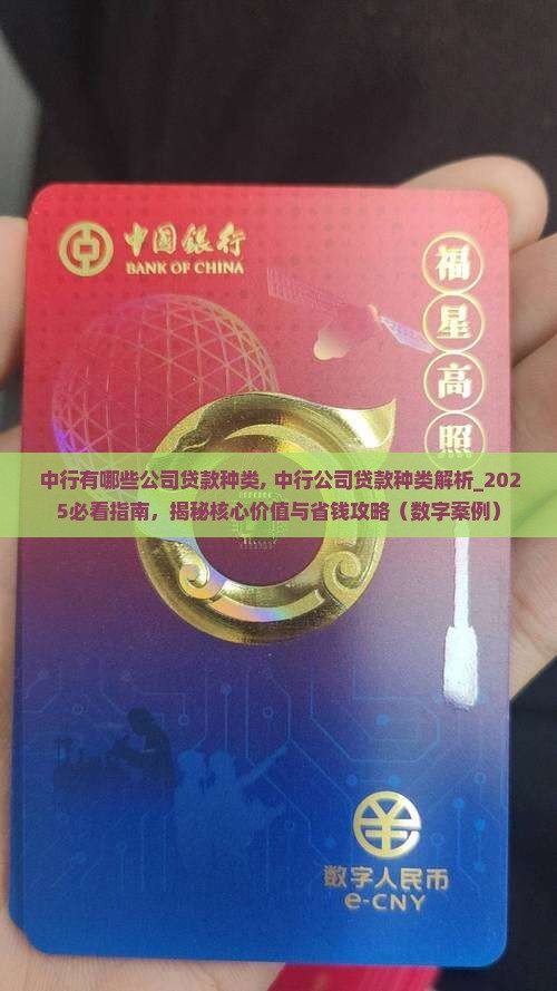 中行有哪些公司贷款种类