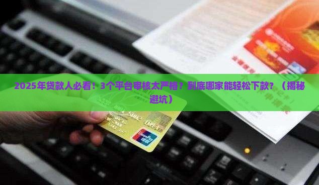 不同平台的贷款审核标准 不同平台的贷款审核标准