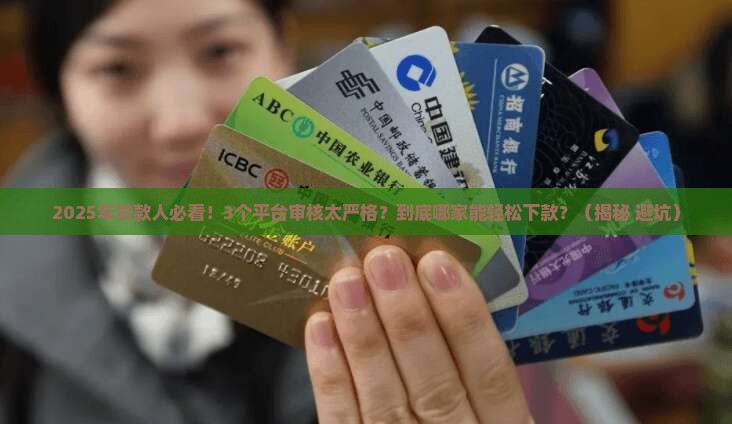 不同平台的贷款审核标准 不同平台的贷款审核标准