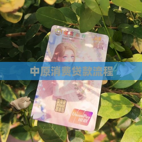 中原消费贷款流程