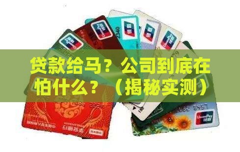 公司向银行贷款给马
