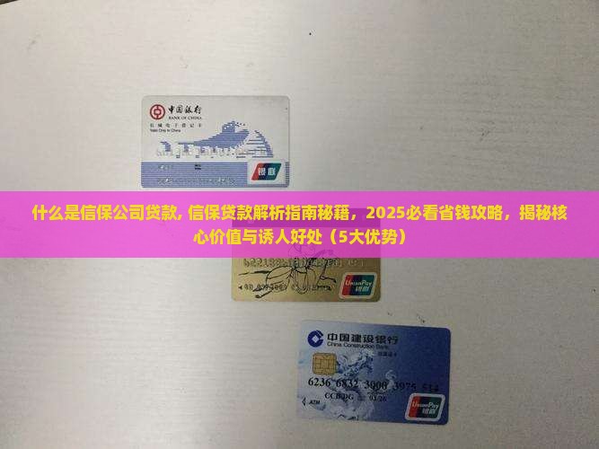 什么是信保公司贷款
