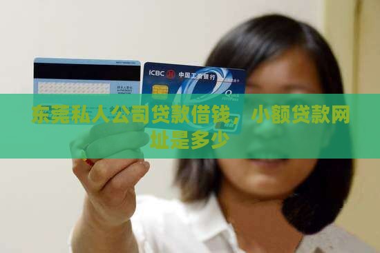 东莞小额贷款网址是多少