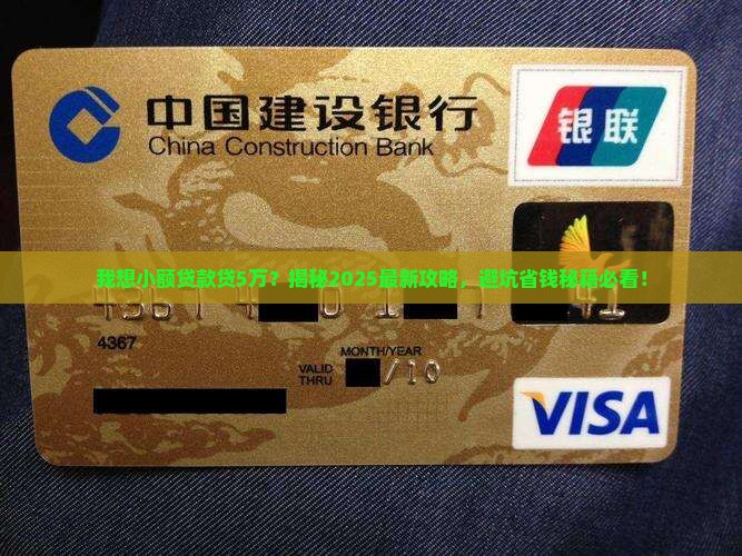 我想小额贷款贷5万