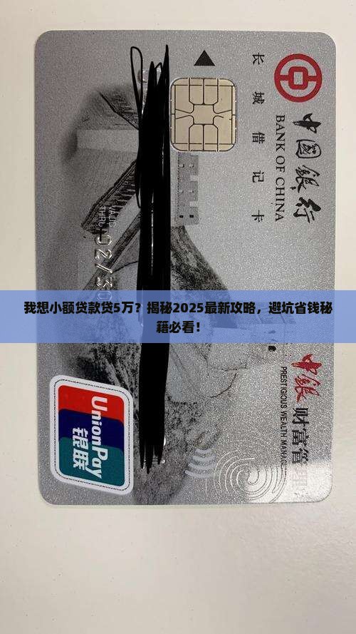 我想小额贷款贷5万