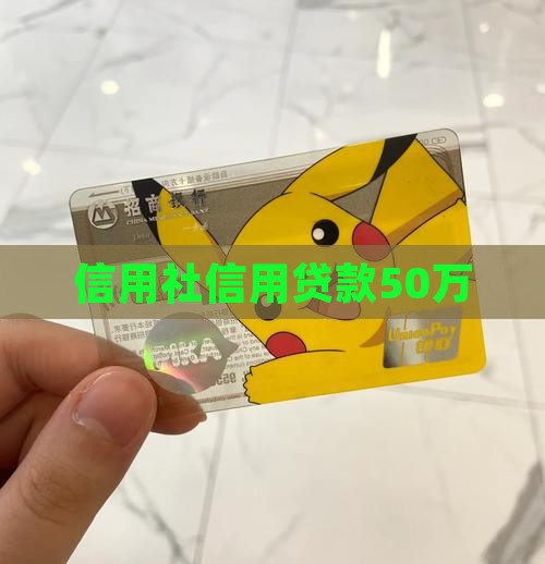 信用社信用贷款50万