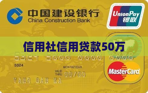 信用社信用贷款50万