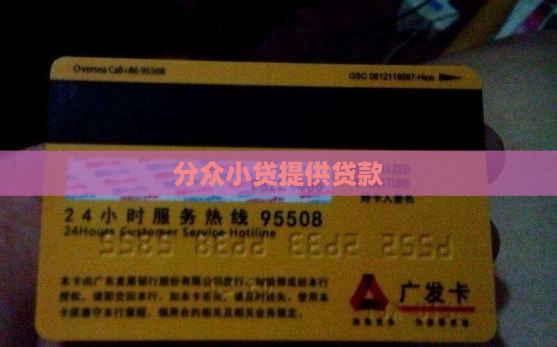 分众小贷提供贷款