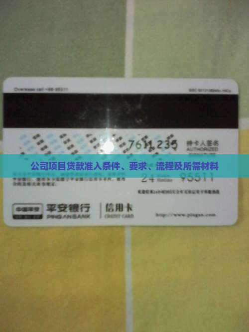 公司项目贷款准入