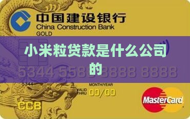 小米粒贷款是什么公司的