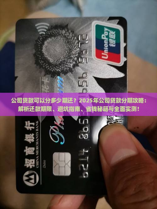公司贷款可以分多少期还