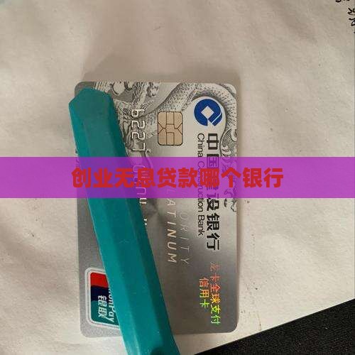 创业无息贷款哪个银行