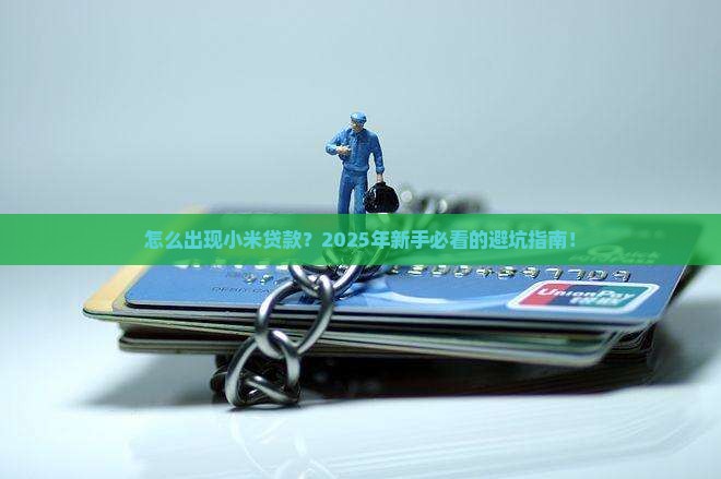怎么出现小米贷款