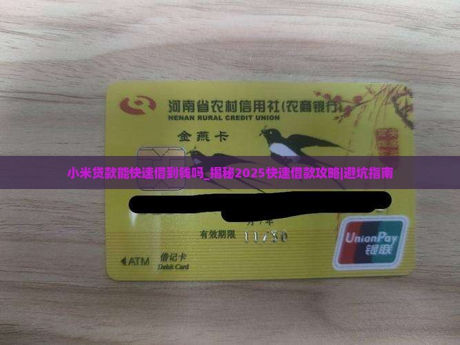小米贷款能快速借到钱吗