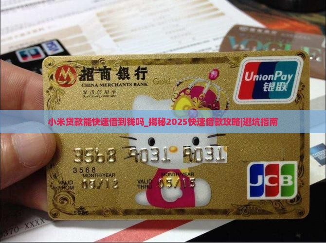小米贷款能快速借到钱吗
