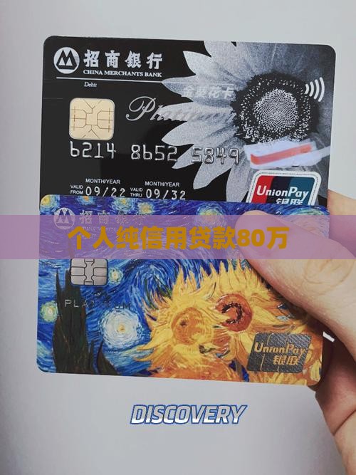 个人纯信用贷款80万