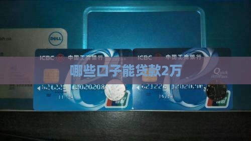 哪些口子能贷款2万